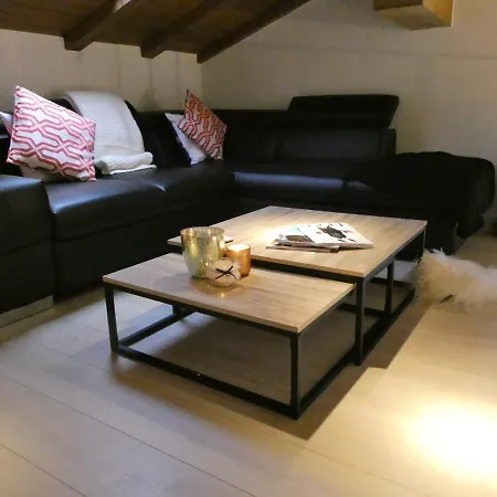 & Elegant Apartments,partially With Fireplace, By Zermatt